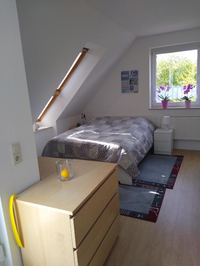 Muensterblick Im Rosenwinkel Apartment Бад Доберан Екстериор снимка